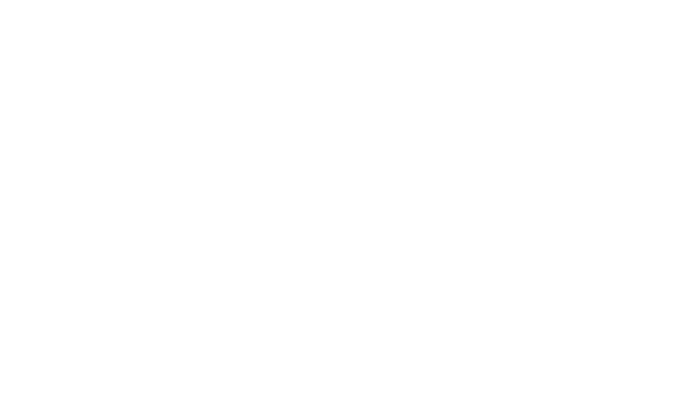 Pak Law Group